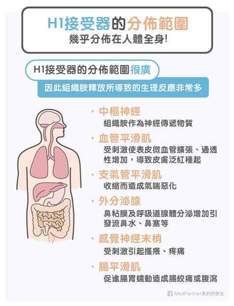 暢寧是第幾代|抗組織胺分兩代！副作用各有哪些？醫師藥師圖文說明